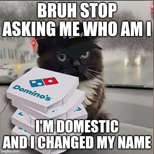 And I made this template | BRUH STOP ASKING ME WHO AM I; I'M DOMESTIC AND I CHANGED MY NAME | image tagged in dominos cat | made w/ Imgflip meme maker