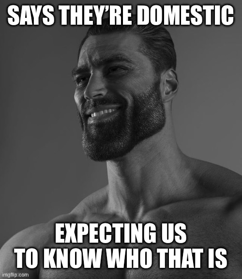 Giga Chad | SAYS THEY’RE DOMESTIC EXPECTING US TO KNOW WHO THAT IS | image tagged in giga chad | made w/ Imgflip meme maker