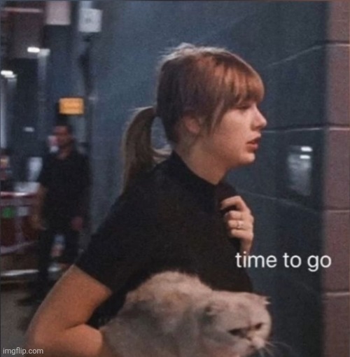 goodbye chat | image tagged in time to go | made w/ Imgflip meme maker