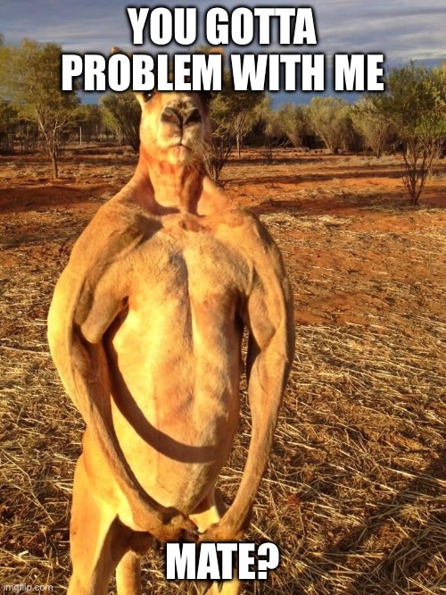 Buff Kangaroo | YOU GOTTA PROBLEM WITH ME; MATE? | image tagged in buff kangaroo | made w/ Imgflip meme maker