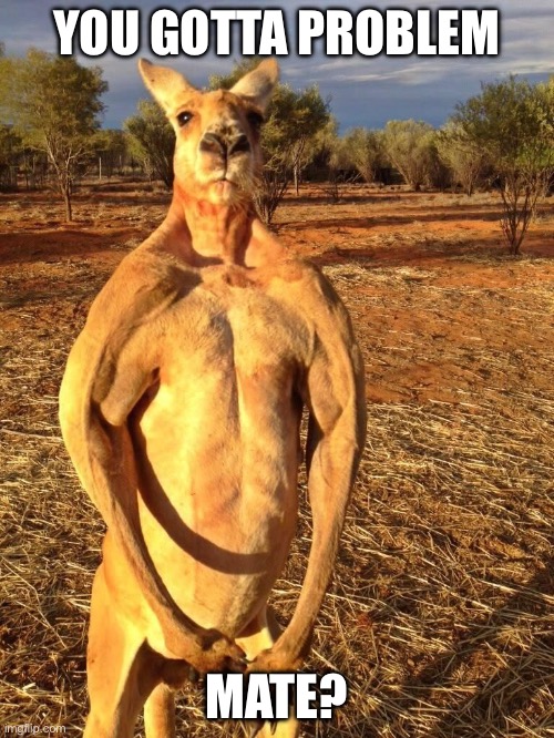 Problem? | YOU GOTTA PROBLEM; MATE? | image tagged in buff kangaroo,mate,aussie | made w/ Imgflip meme maker
