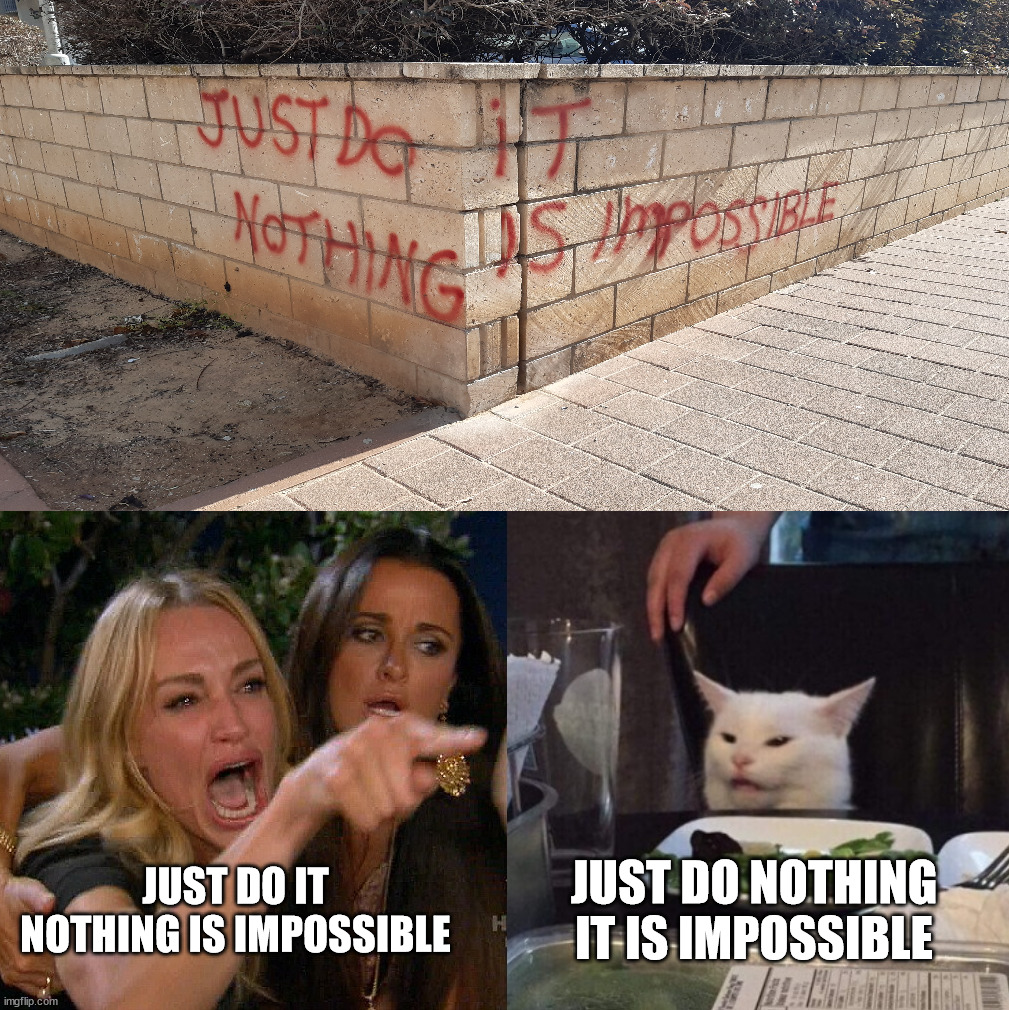 Just do nothing | JUST DO NOTHING
IT IS IMPOSSIBLE; JUST DO IT
NOTHING IS IMPOSSIBLE | image tagged in woman yelling at cat,just do it,nike | made w/ Imgflip meme maker