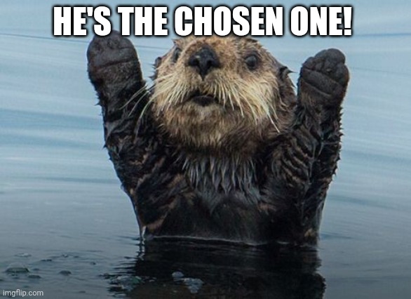 Hands up otter | HE'S THE CHOSEN ONE! | image tagged in hands up otter | made w/ Imgflip meme maker