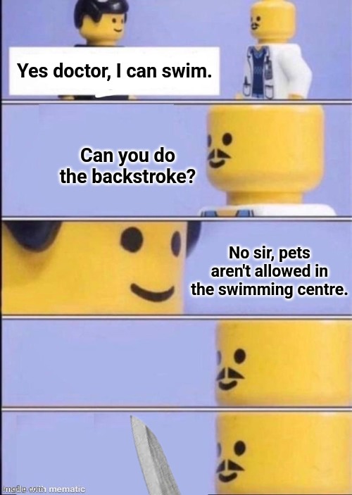 Because you can stroke a dog's back. | Yes doctor, I can swim. Can you do the backstroke? No sir, pets aren't allowed in the swimming centre. | image tagged in lego doctor higher quality,swimming,lego,backstroke,lego people,lego doctor | made w/ Imgflip meme maker