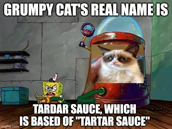 Classic Meme Moment | GRUMPY CAT'S REAL NAME IS; TARDAR SAUCE, WHICH IS BASED OF "TARTAR SAUCE" | image tagged in spongebob tartar sauce,grumpy cat,cat,cats | made w/ Imgflip meme maker
