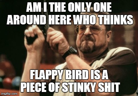 Am I The Only One Around Here Meme | AM I THE ONLY ONE AROUND HERE WHO THINKS FLAPPY BIRD IS A PIECE OF STINKY SHIT | image tagged in memes,am i the only one around here | made w/ Imgflip meme maker