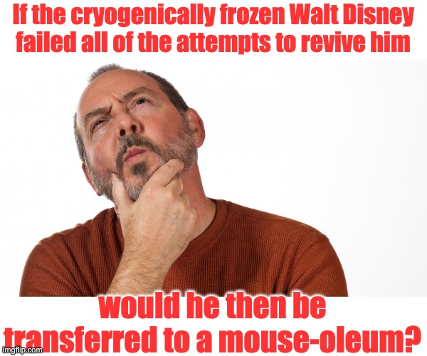 Disney | If the cryogenically frozen Walt Disney failed all of the attempts to revive him; would he then be transferred to a mouse-oleum? | image tagged in hmmm | made w/ Imgflip meme maker