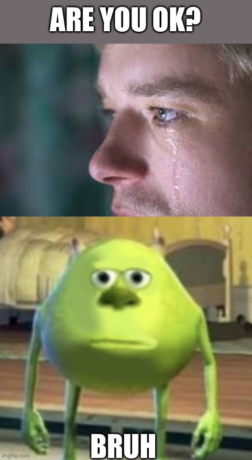 It just comes out of your mouth doesn’t it? | ARE YOU OK? BRUH | image tagged in mike wazowski,crying,relatable | made w/ Imgflip meme maker