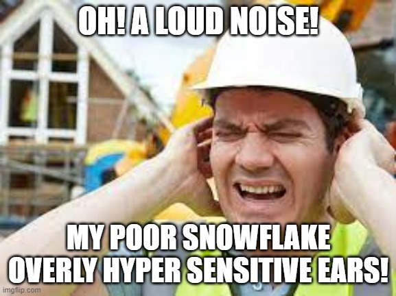 oh my ears | OH! A LOUD NOISE! MY POOR SNOWFLAKE OVERLY HYPER SENSITIVE EARS! | image tagged in oh my ears,funny,snowflake | made w/ Imgflip meme maker