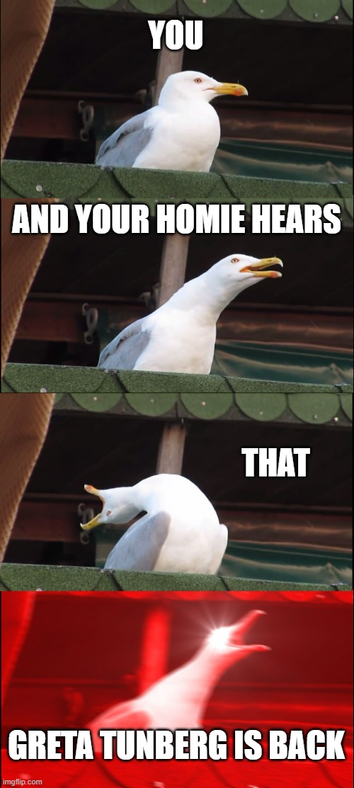 Inhaling Seagull | YOU; AND YOUR HOMIE HEARS; THAT; GRETA TUNBERG IS BACK | image tagged in memes,inhaling seagull | made w/ Imgflip meme maker