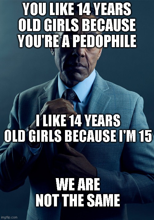 Gus Fring we are not the same | YOU LIKE 14 YEARS OLD GIRLS BECAUSE YOU'RE A PEDOPHILE; I LIKE 14 YEARS OLD GIRLS BECAUSE I'M 15; WE ARE NOT THE SAME | image tagged in gus fring we are not the same | made w/ Imgflip meme maker
