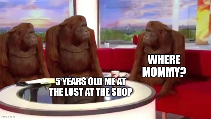 where monkey | WHERE MOMMY? 5 YEARS OLD ME AT THE LOST AT THE SHOP | image tagged in where monkey | made w/ Imgflip meme maker
