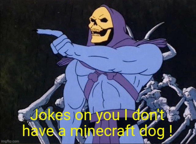 Jokes on you I’m into that shit | Jokes on you I don't have a minecraft dog ! | image tagged in jokes on you i m into that shit | made w/ Imgflip meme maker
