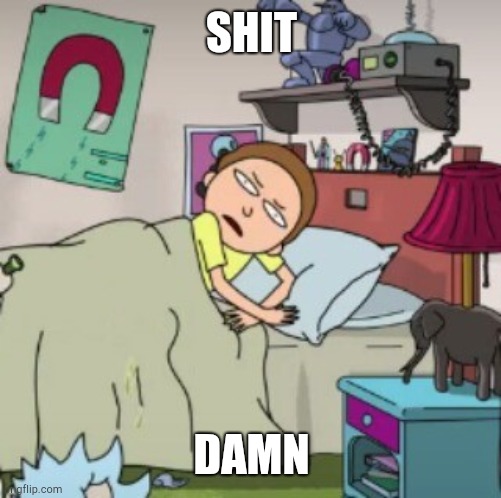 Morty bedtime realisation | SHIT DAMN | image tagged in morty bedtime realisation | made w/ Imgflip meme maker