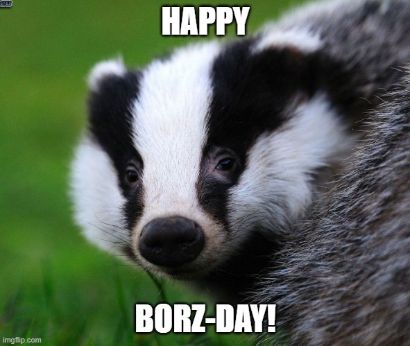 Borz-day | HAPPY; BORZ-DAY! | image tagged in happy birthday | made w/ Imgflip meme maker
