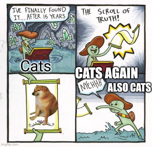 The Scroll Of Truth | Cats; CATS AGAIN; ALSO CATS | image tagged in memes,the scroll of truth | made w/ Imgflip meme maker