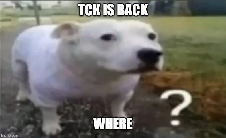 ? | TCK IS BACK; WHERE | made w/ Imgflip meme maker