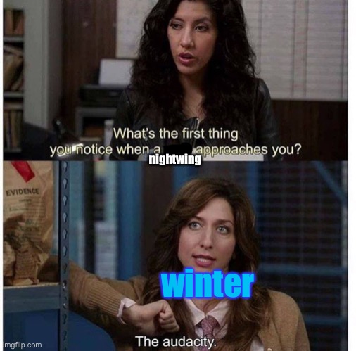 The Audacity | nightwing; winter | image tagged in the audacity | made w/ Imgflip meme maker