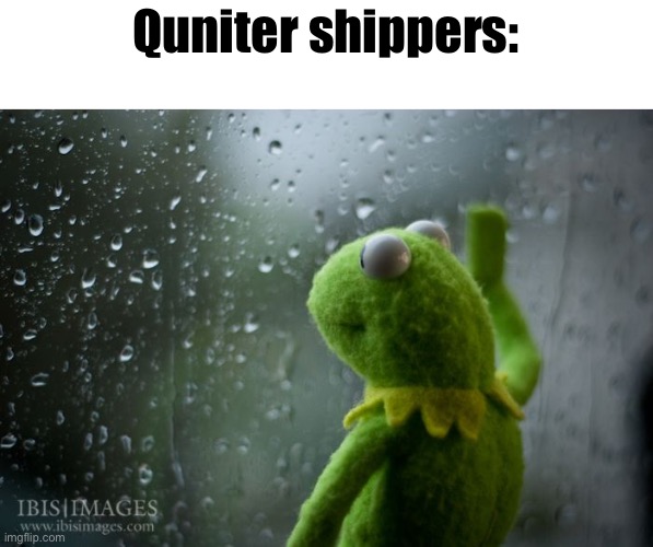 kermit window | Quniter shippers: | image tagged in kermit window | made w/ Imgflip meme maker