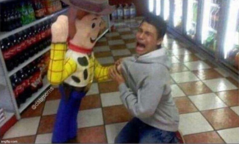 woody holding guy | image tagged in woody holding guy | made w/ Imgflip meme maker