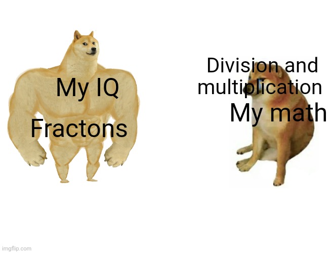 Buff Doge vs. Cheems Meme | My IQ My math Fractons Division and multiplication | image tagged in memes,buff doge vs cheems | made w/ Imgflip meme maker