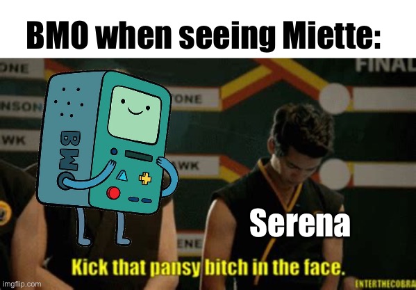 (BMO: lol that is true) | BMO when seeing Miette:; Serena | image tagged in kick that pansy bitch in the face | made w/ Imgflip meme maker