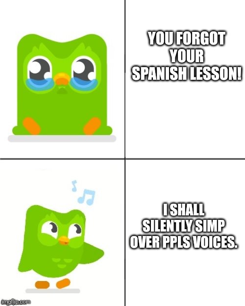 Duolingo Drake meme | YOU FORGOT YOUR SPANISH LESSON! I SHALL SILENTLY SIMP OVER PPLS VOICES. | image tagged in duolingo drake meme | made w/ Imgflip meme maker