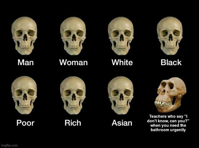 image tagged in repost,empty skulls of truth,idiot skull,teachers,memes,funny | made w/ Imgflip meme maker