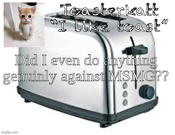 Toasterkatt toast template | Did I even do anything genuinely against MSMG?? | image tagged in toasterkatt toast template | made w/ Imgflip meme maker