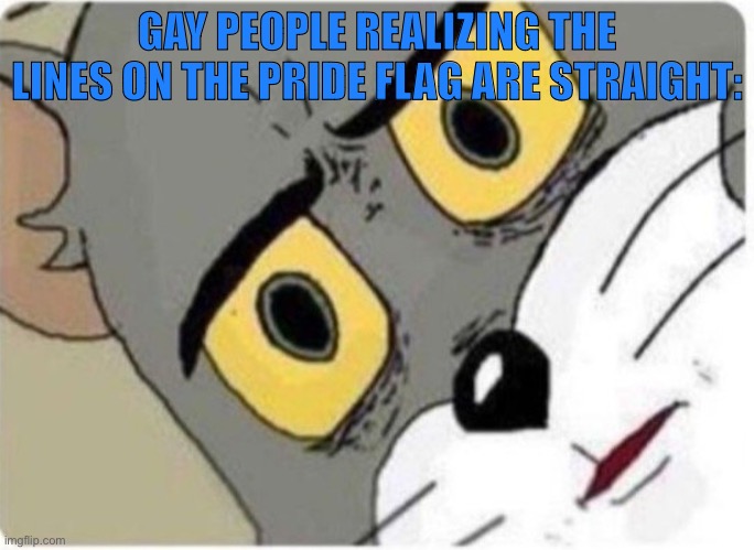 Tom and Jerry meme | GAY PEOPLE REALIZING THE LINES ON THE PRIDE FLAG ARE STRAIGHT: | image tagged in tom and jerry meme | made w/ Imgflip meme maker
