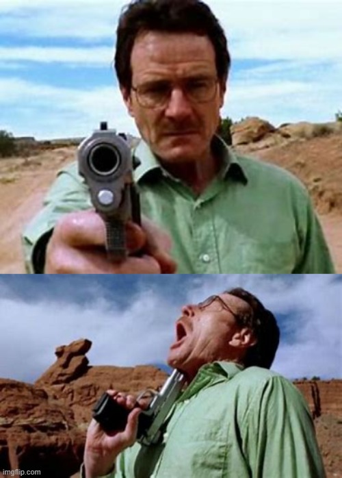 walter white suicide | image tagged in walter white suicide | made w/ Imgflip meme maker