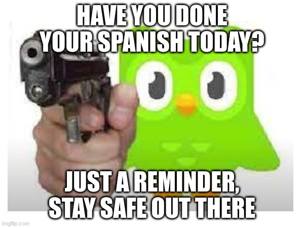 HAVE YOU DONE YOUR SPANISH TODAY? JUST A REMINDER, STAY SAFE OUT THERE | image tagged in duolingo,meme | made w/ Imgflip meme maker