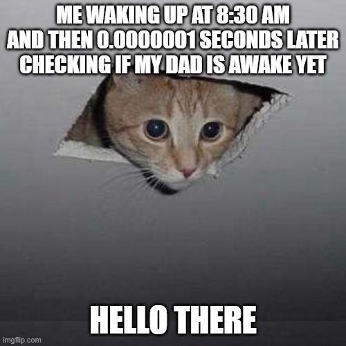 Meme #18 (2023) | ME WAKING UP AT 8:30 AM AND THEN 0.0000001 SECONDS LATER CHECKING IF MY DAD IS AWAKE YET; HELLO THERE | image tagged in memes,ceiling cat | made w/ Imgflip meme maker