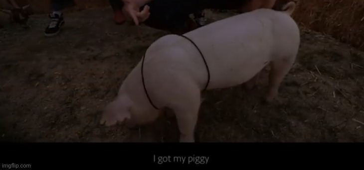 baocn | image tagged in i got my piggy | made w/ Imgflip meme maker