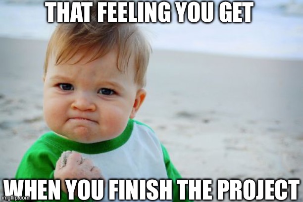 Success Kid Original | THAT FEELING YOU GET; WHEN YOU FINISH THE PROJECT | image tagged in memes,success kid original | made w/ Imgflip meme maker