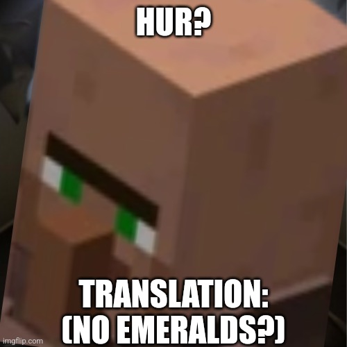 HUR? TRANSLATION: (NO EMERALDS?) | made w/ Imgflip meme maker