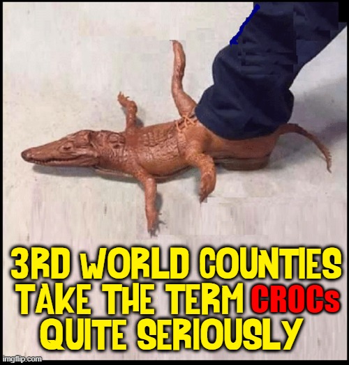 The Original "Crocs" | 3RD WORLD COUNTIES
TAKE THE TERM          
QUITE SERIOUSLY; CROCs | image tagged in vince vance,crocs,crocodile,alligator,shoes,memes | made w/ Imgflip meme maker