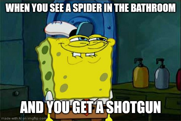 Don't You Squidward | WHEN YOU SEE A SPIDER IN THE BATHROOM; AND YOU GET A SHOTGUN | image tagged in memes,don't you squidward | made w/ Imgflip meme maker