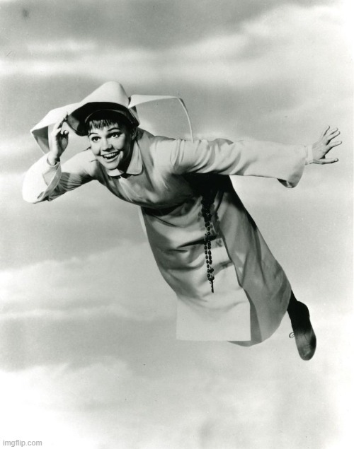 The Flying Nun | image tagged in the flying nun | made w/ Imgflip meme maker