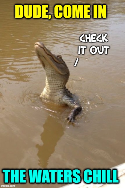 Summer Fun with New Friends | DUDE, COME IN; CHECK
IT OUT
/; THE WATERS CHILL | image tagged in vince vance,swimming,summer time,memes,enticing,alligator | made w/ Imgflip meme maker