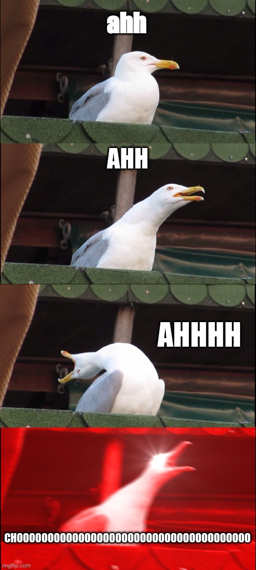 COVID-19 be like: | ahh; AHH; AHHHH; CHOOOOOOOOOOOOOOOOOOOOOOOOOOOOOOOOOOOOOO | image tagged in memes,inhaling seagull,funny,covid-19 | made w/ Imgflip meme maker