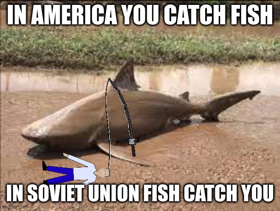 IN SOVIET UNION FISH CATCH YOU | IN AMERICA YOU CATCH FISH; IN SOVIET UNION FISH CATCH YOU | image tagged in fish | made w/ Imgflip meme maker