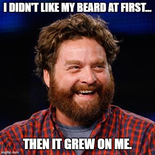 Daily Bad Dad Joke March 3, 2023 | I DIDN'T LIKE MY BEARD AT FIRST... THEN IT GREW ON ME. | image tagged in laughing beard | made w/ Imgflip meme maker