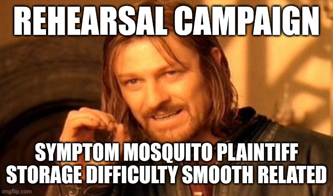 Fun Stream Memes with Randomly Generated Words - Day 2 | REHEARSAL CAMPAIGN; SYMPTOM MOSQUITO PLAINTIFF STORAGE DIFFICULTY SMOOTH RELATED | made w/ Imgflip meme maker