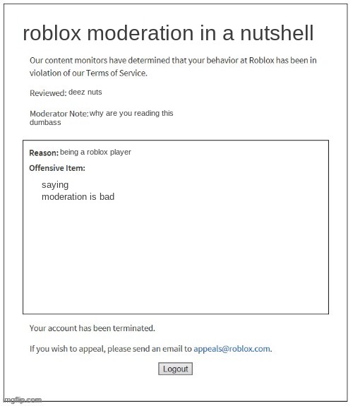 Moderation System | roblox moderation in a nutshell; deez nuts; why are you reading this; dumbass; being a roblox player; saying moderation is bad | image tagged in moderation system | made w/ Imgflip meme maker
