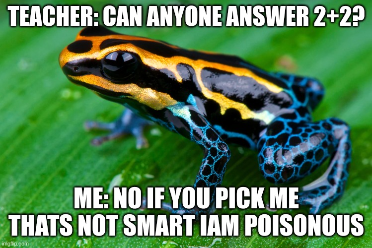 TEACHER: CAN ANYONE ANSWER 2+2? ME: NO IF YOU PICK ME THATS NOT SMART IAM POISONOUS | image tagged in fun | made w/ Imgflip meme maker