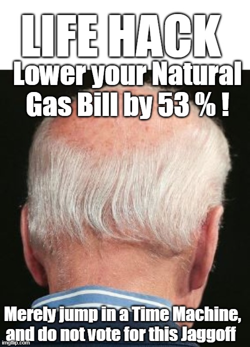 First Day goes to war with the energy companies | LIFE HACK; Lower your Natural Gas Bill by 53 % ! Merely jump in a Time Machine, and do not vote for this Jaggoff | image tagged in memes | made w/ Imgflip meme maker