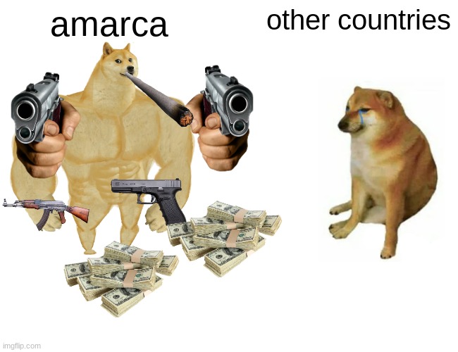 amrca | amarca; other countries | image tagged in memes,buff doge vs cheems,amrca upvote | made w/ Imgflip meme maker