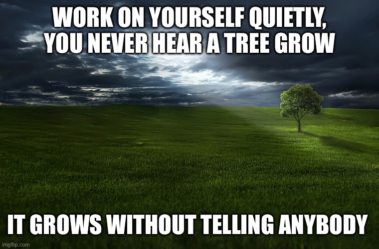 Self work | WORK ON YOURSELF QUIETLY, YOU NEVER HEAR A TREE GROW; IT GROWS WITHOUT TELLING ANYBODY | image tagged in growth | made w/ Imgflip meme maker