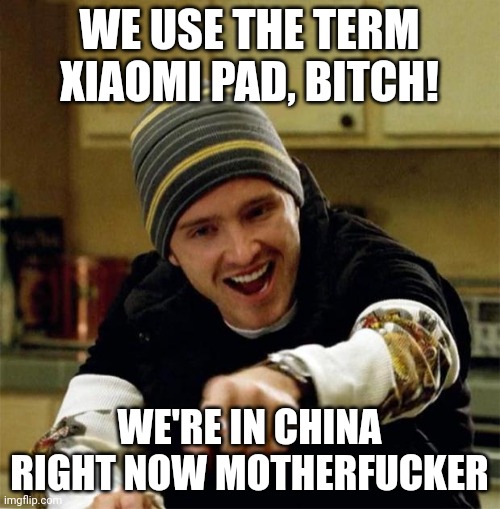 Jesse Pinkman | WE USE THE TERM XIAOMI PAD, BITCH! WE'RE IN CHINA RIGHT NOW MOTHERFUCKER | image tagged in jesse pinkman | made w/ Imgflip meme maker